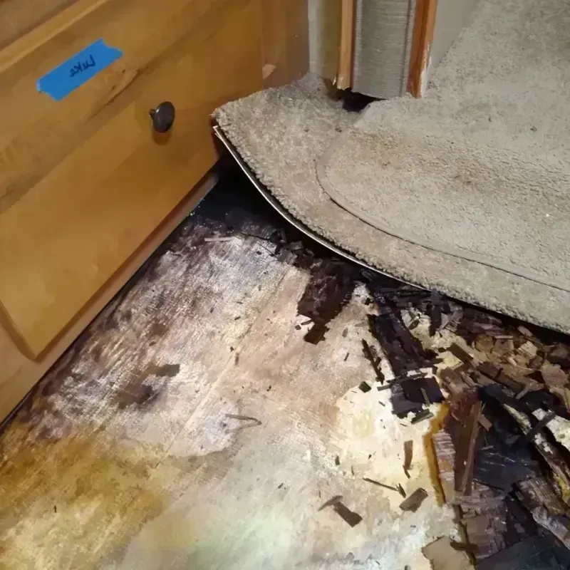 Wood Floor Water Damage in Wynne, AR